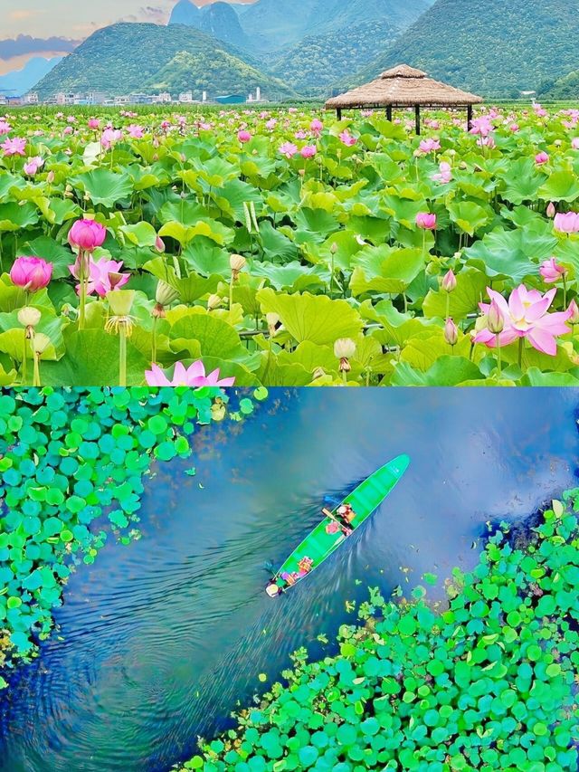 普者黑值得你來一趟