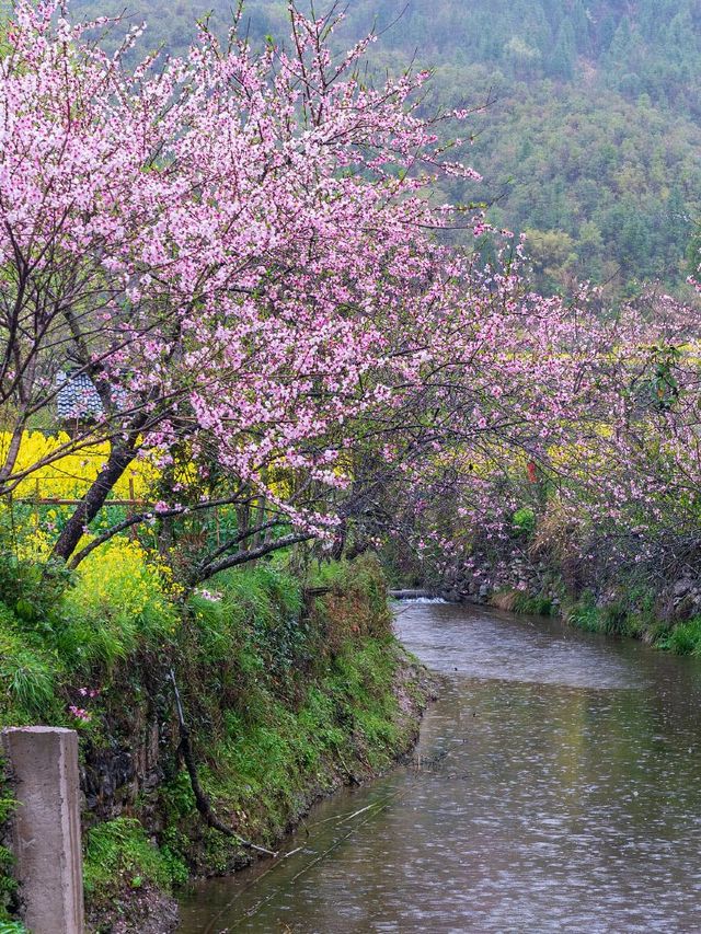 上饒-景德鎮｜老年人遊玩超詳細指南