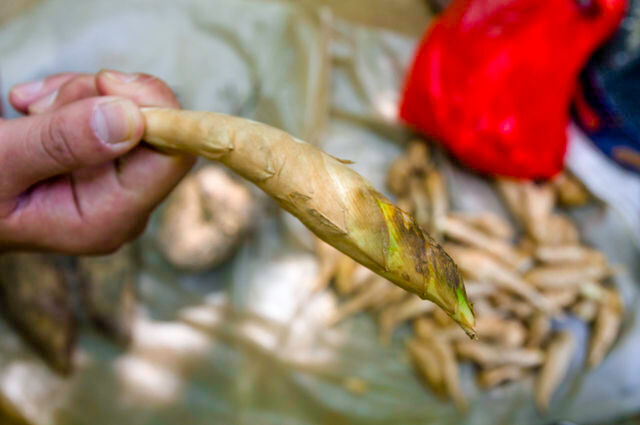 惠州香溪古堡徒步，解鎖水泥與泥路的奇妙