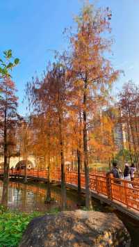 漳州龍文郊野公園：城市中的大自然