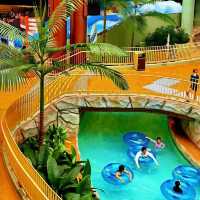 🌊【全港最大！海洋公園水上樂園保姆級攻略】