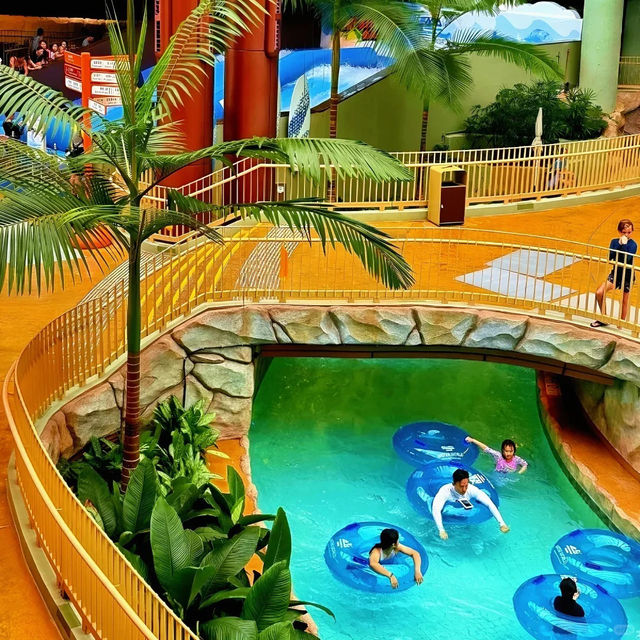 🌊【全港最大！海洋公園水上樂園保姆級攻略】