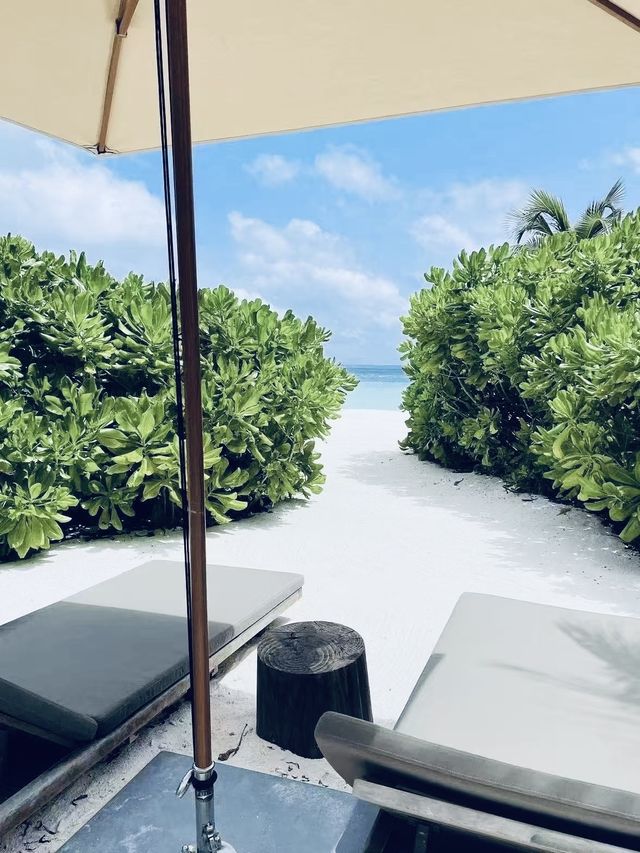 抵達馬爾代夫印象｜一島一世界的極致隱奢