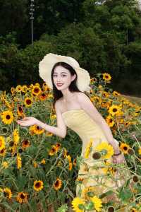 福田中心區向日葵公園 | 邂逅滿分鬆弛感的夏日