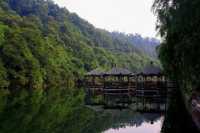 探秘京山：綠林漂流×虎爪紅葉×太子餵鹿全攻略！
