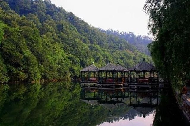 探秘京山：綠林漂流×虎爪紅葉×太子餵鹿全攻略！