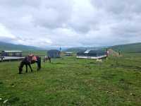 🚗 Into the Green: A Scenic Journey from Ngawa to Mai’erma 🌿