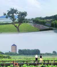 逃離高溫！墜入蘇州太湖畔夢幻避暑莊園