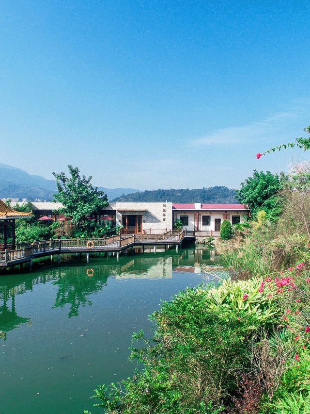 夏日出遊特輯