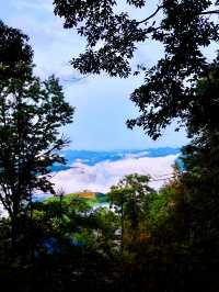 西安2小時直達！海棠山雲海日出，靚到窒息仲免費