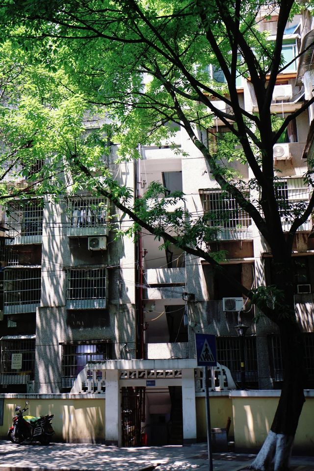 重慶無盡夏