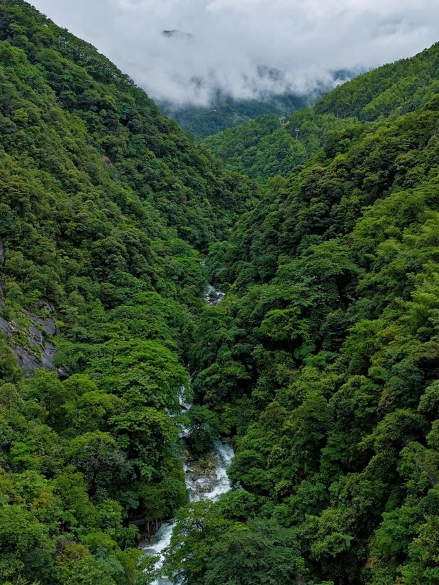 婺源隱世避暑秘境