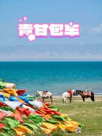 青甘定制包車遊