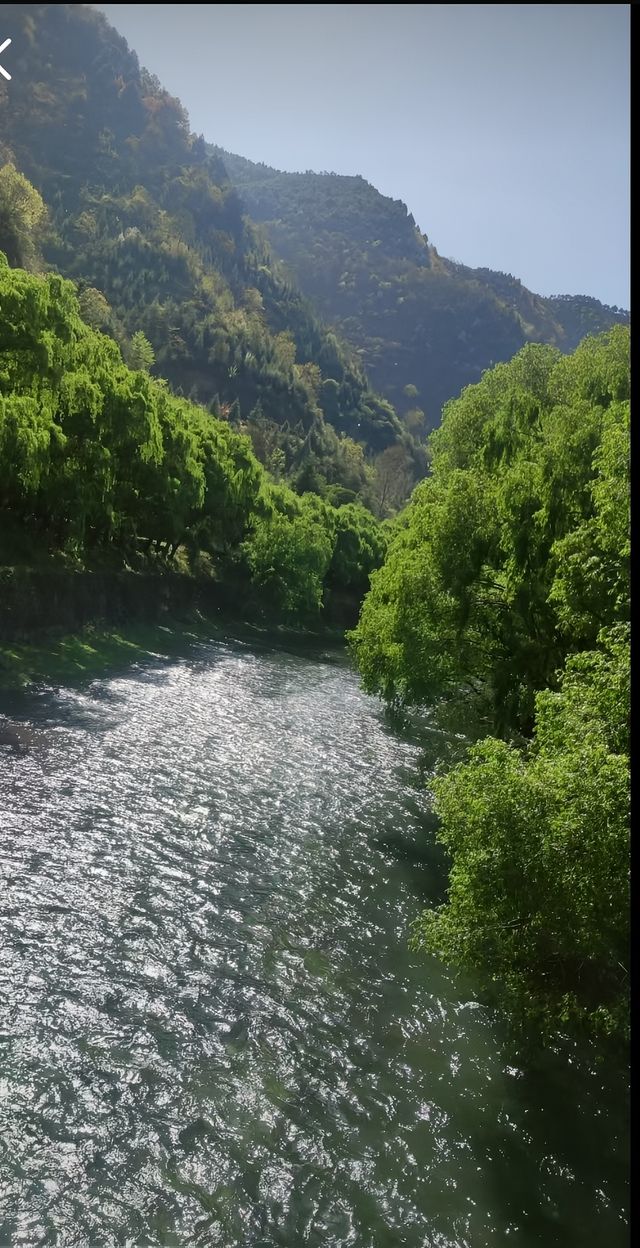 寶貝們！今日一定要同大家分享我最近住嘅呢間超正嘅網紅打卡酒店——隱沫酒店簡直就係我嘅夢中情店，嚟咗就唔想走！