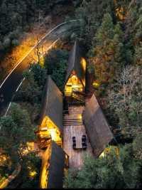唔使去到巴厘島，車程2小時就可以住進避暑森林樹屋