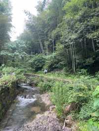 親子玩水秘境！上王崗溯溪免繞路攻略