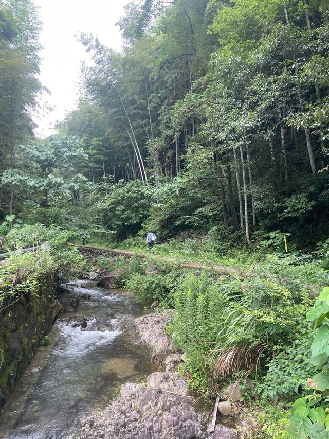 親子玩水秘境！上王崗溯溪免繞路攻略