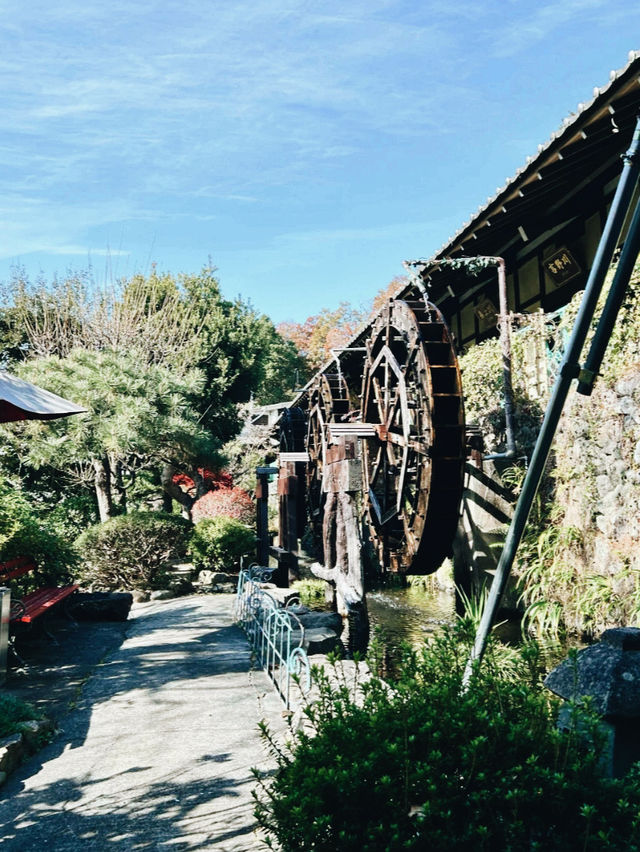 東京隱世名店！ひな鳥山炭火燒鳥流水送餐奇遇記】**  