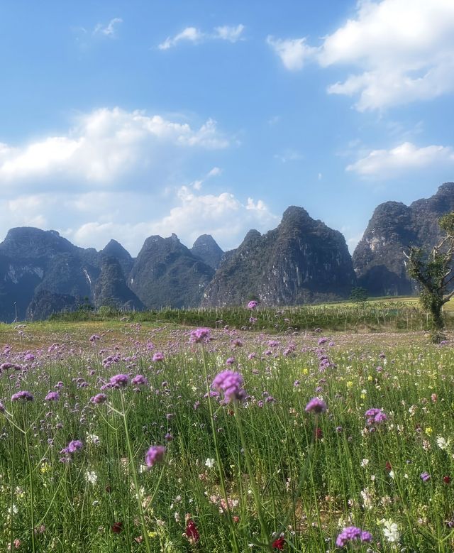 峒那嶼灣旅遊攻略