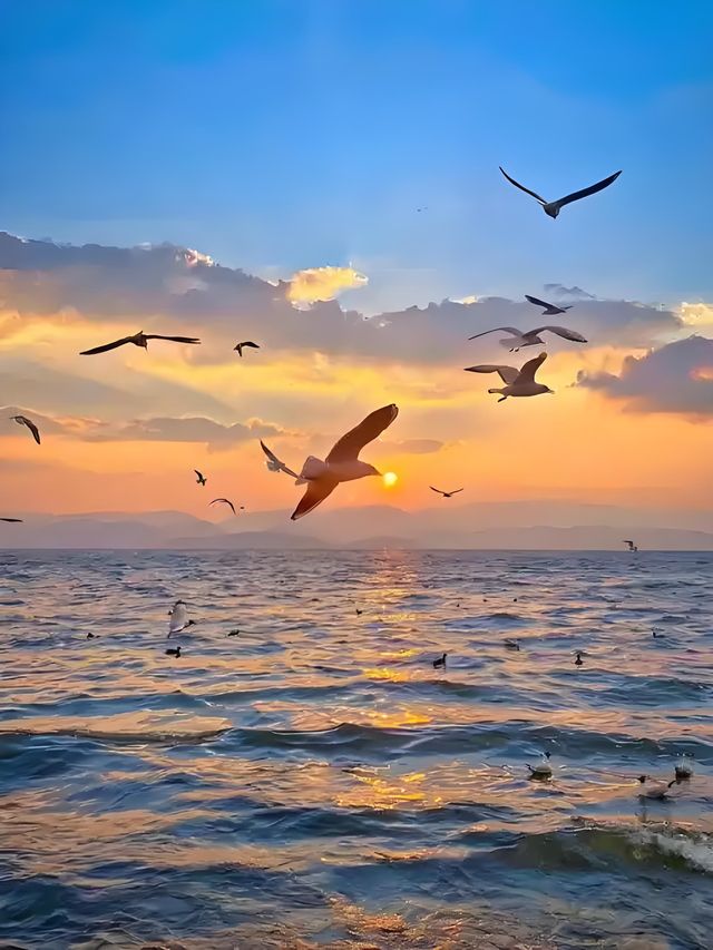 大理一日詩篇 | 讓風花雪月浸透你的時光