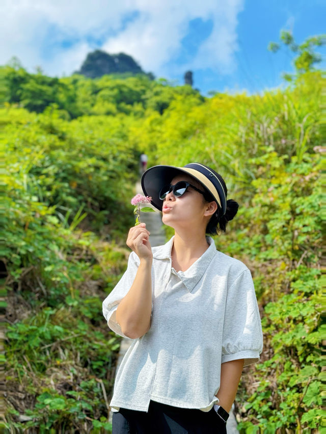 森林露營懸崖日落徒步摘果子溪流探溶洞