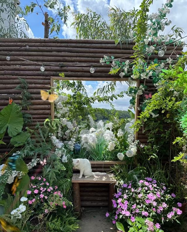 夏日系治癒花園！！