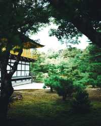 看過一次金閣寺，還想再看一萬次！