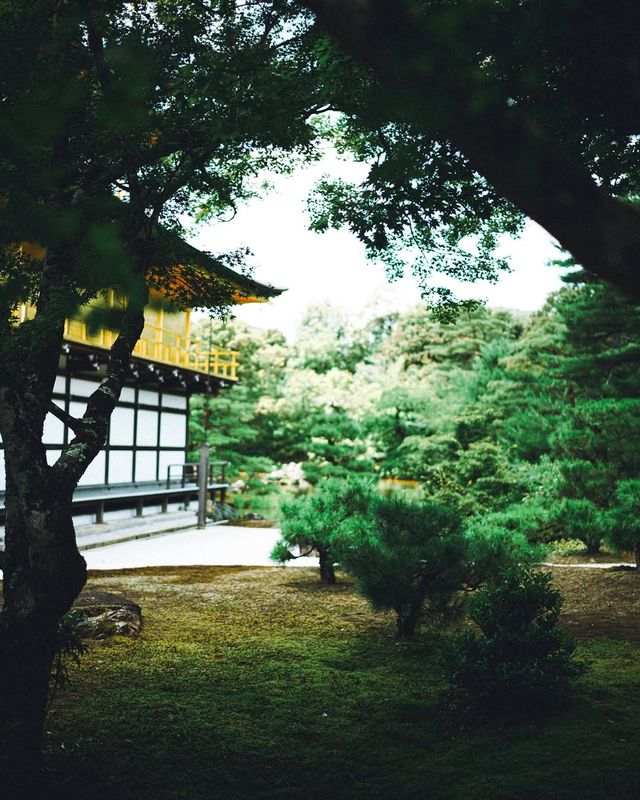 看過一次金閣寺，還想再看一萬次！