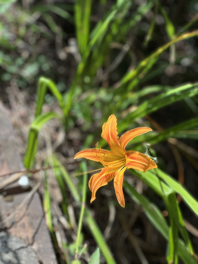 道教名山