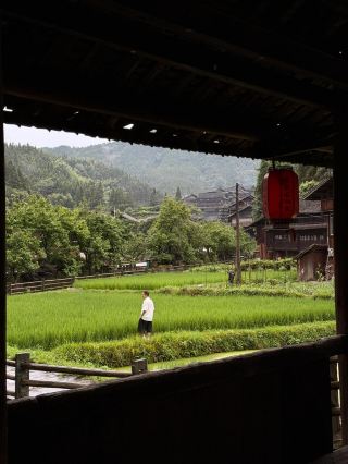 라이브 사진 직출! 후난의 이 천년 된 둥족 마을은 너무 힐링됩니다. 사람 적고 경치 좋은 i인 천국