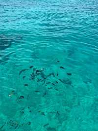 唔使去其他海邊,呢度一樣正到爆