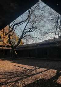 永康、麗水、溫州周邊遊