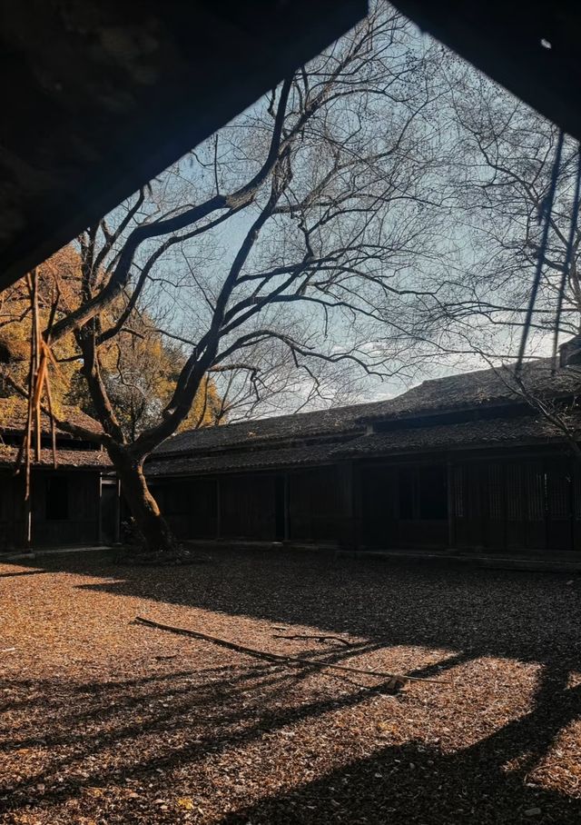 永康、麗水、溫州周邊遊