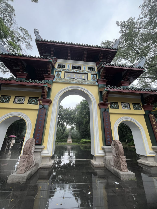 🌧️ 柳州人才懂的雨天浪漫！柳侯公園餵魚賞雨秘境大公開
