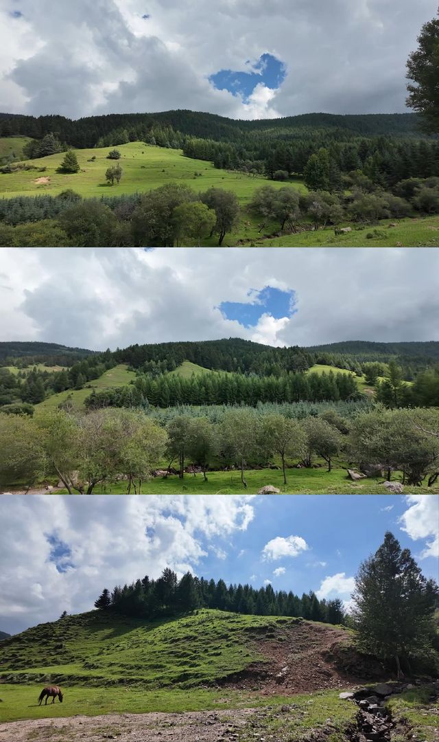 一定要去山西忻州古城走一走