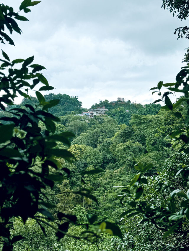 探秘版納基諾山寨：中國最後一個少數民族的文化秘境