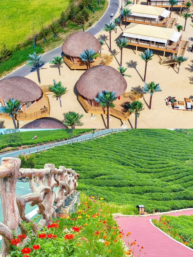 信陽之美,茶香山水紅色之旅! 信陽之美,茶香山水紅色之旅!