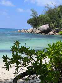 "A Magical Anniversary at Constance Lemuria Praslin"