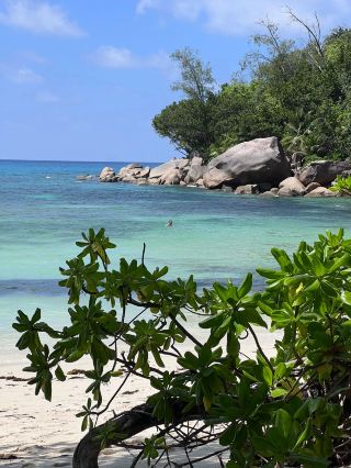 "A Magical Anniversary at Constance Lemuria Praslin"