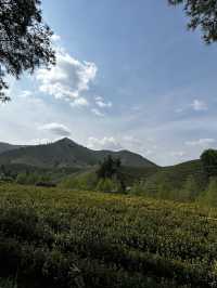 Anji 3 Days Travel Guide