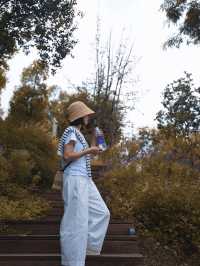 成都今年的秋天舒服到不想離開