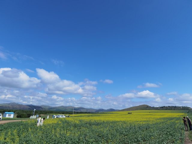 呼倫貝爾騎遊指南