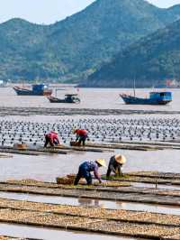 【浙江霞浦：灘塗光影的心跳密碼與海洋文明的終極邂逅】