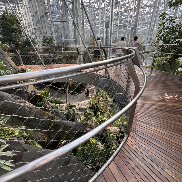 【上海】上海温室花園🪴｜写真映え×自然癒し×屋内観光にぴったり！