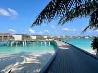 Unforgettable Honeymoon at Park Hyatt Maldives