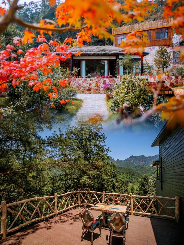 探秘仙境張家界，住進山水畫
