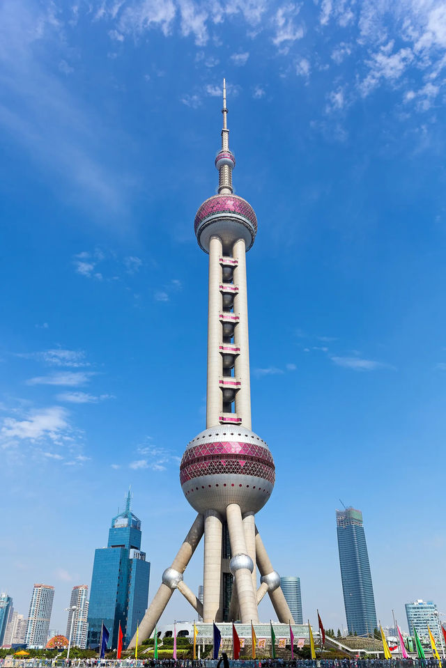 這一刻，我在上海看到了生活最柔軟的一面