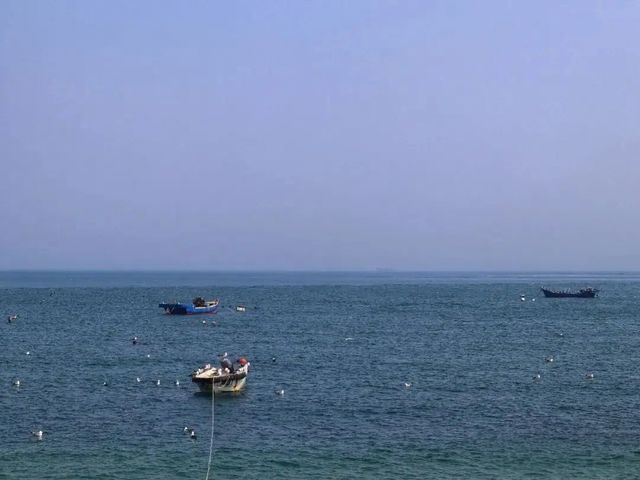 大連棒棰島實測：國賓級海景裡的避世與驚喜
