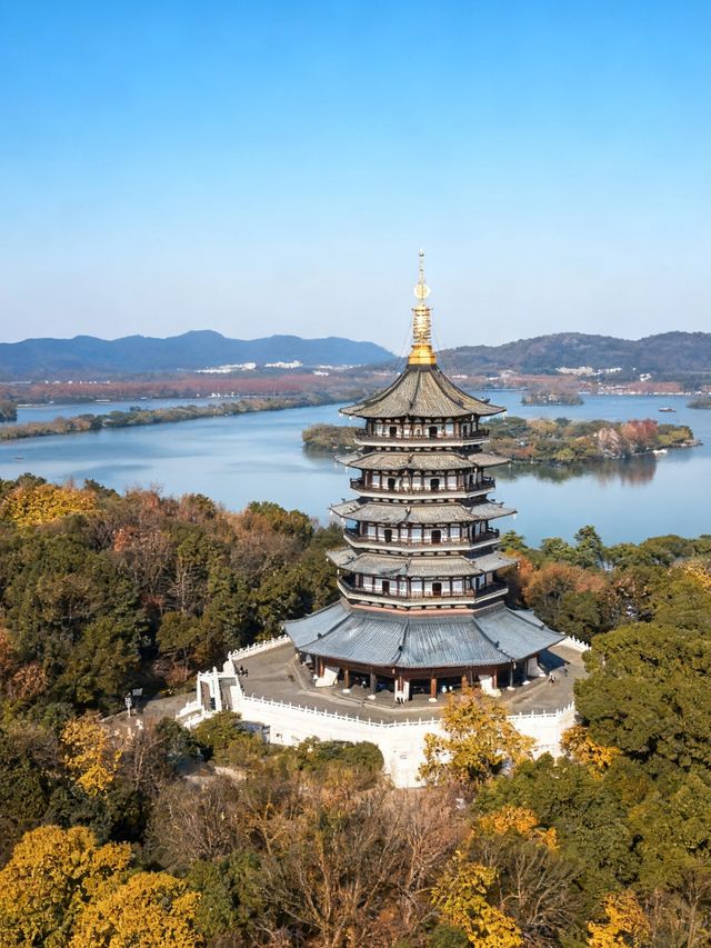 秋日西湖漫步｜闖入被梧桐葉染黃的治癒系電影畫面