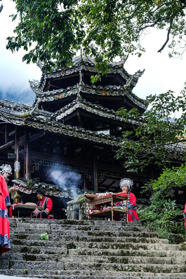 藏在湘西南的「古樹王國」，竟藏著土樓歷史蹤影！